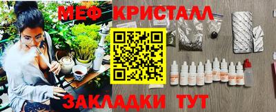 стафф Гай