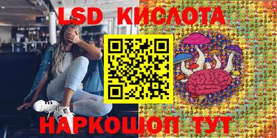 бошки Гатчина