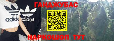 стафф Гай