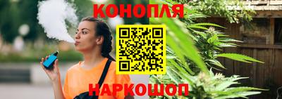 стафф Гай