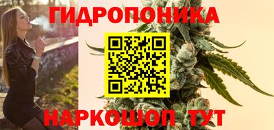 стафф Гай
