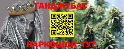 стафф Гай