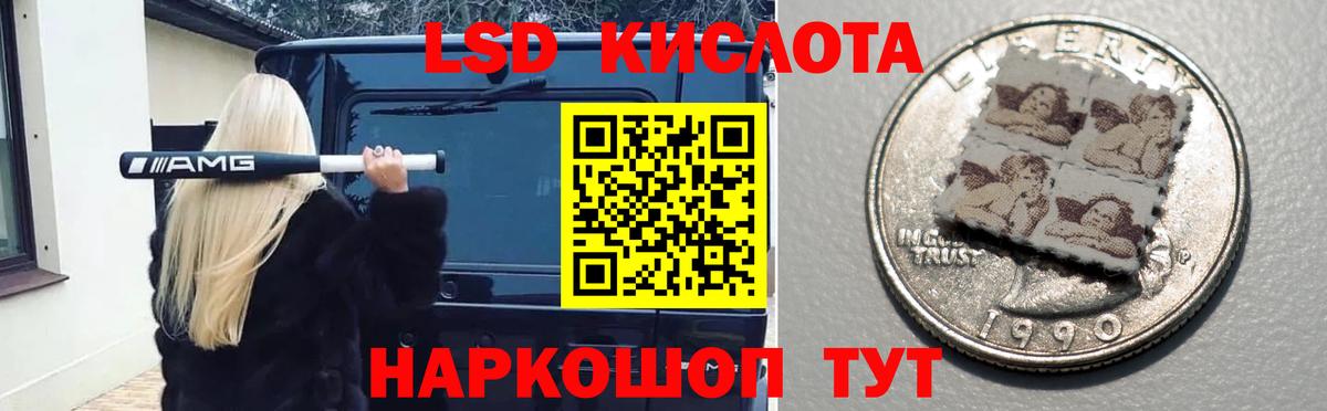 Псилоцибиновые грибы Нижний Тагил